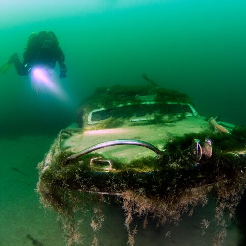 Diver at The Lake