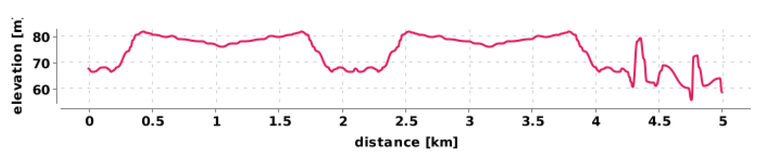 Run Elevation Profile